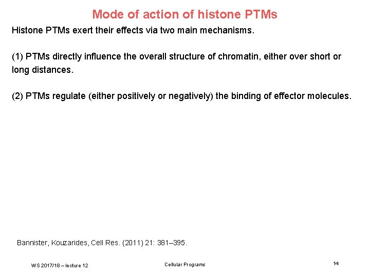 Mode of action of histone PTMs Histone PTMs exert their effects via two main