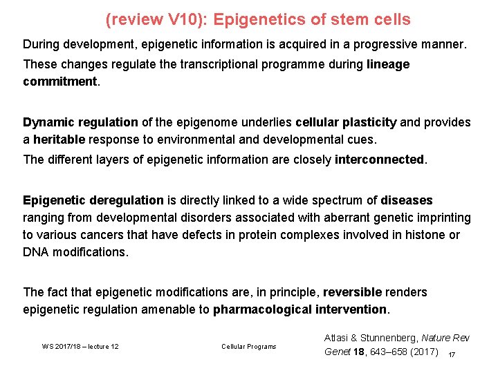 (review V 10): Epigenetics of stem cells During development, epigenetic information is acquired in