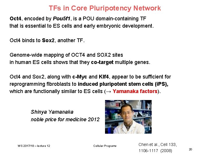 TFs in Core Pluripotency Network Oct 4, encoded by Pou 5 f 1, is