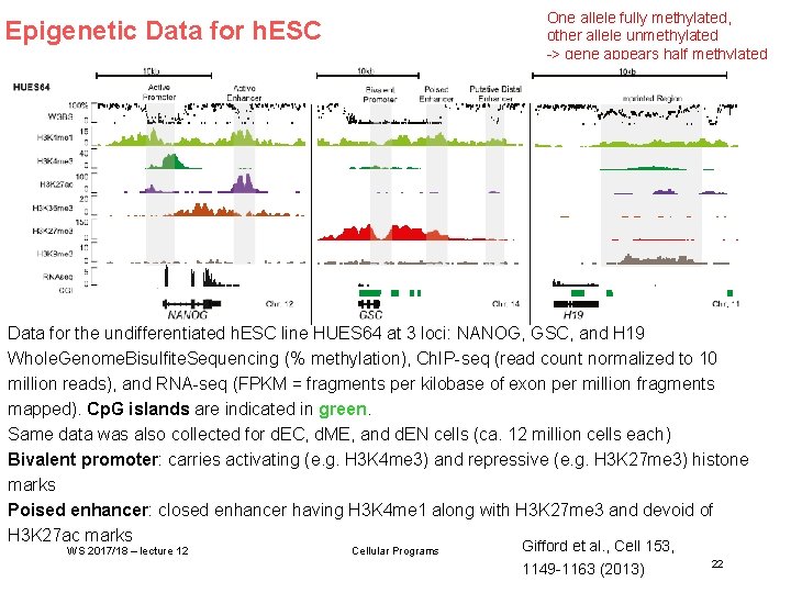 One allele fully methylated, other allele unmethylated -> gene appears half methylated Epigenetic Data