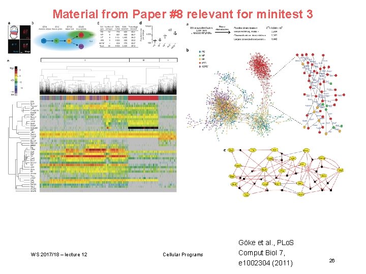 Material from Paper #8 relevant for minitest 3 WS 2017/18 – lecture 12 Cellular