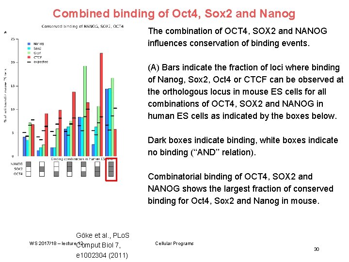 Combined binding of Oct 4, Sox 2 and Nanog The combination of OCT 4,