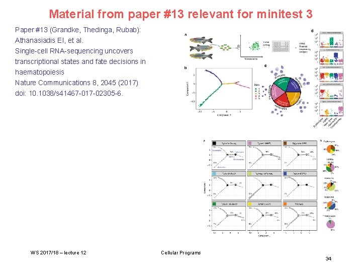 Material from paper #13 relevant for minitest 3 Paper #13 (Grandke, Thedinga, Rubab): Athanasiadis