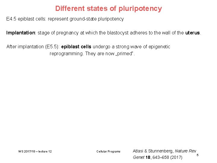 Different states of pluripotency E 4. 5 epiblast cells: represent ground-state pluripotency Implantation: stage