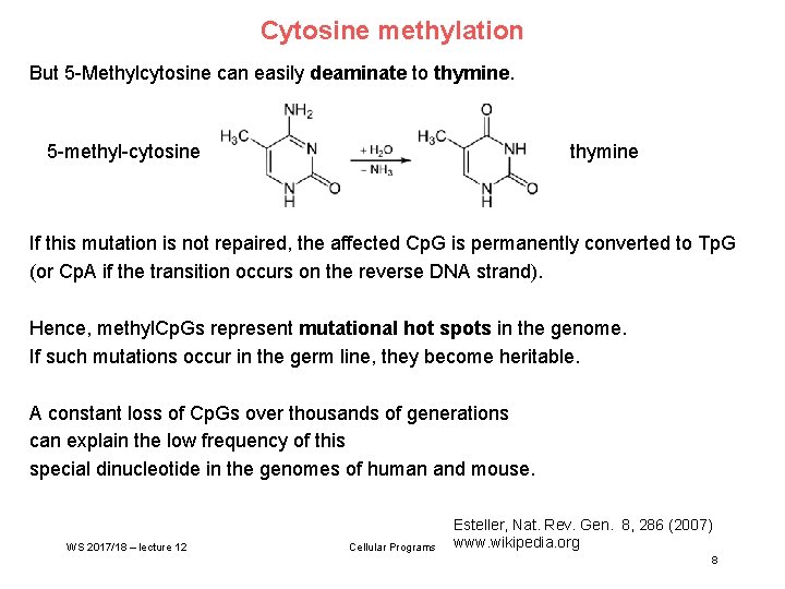 Cytosine methylation But 5 -Methylcytosine can easily deaminate to thymine. 5 -methyl-cytosine thymine If