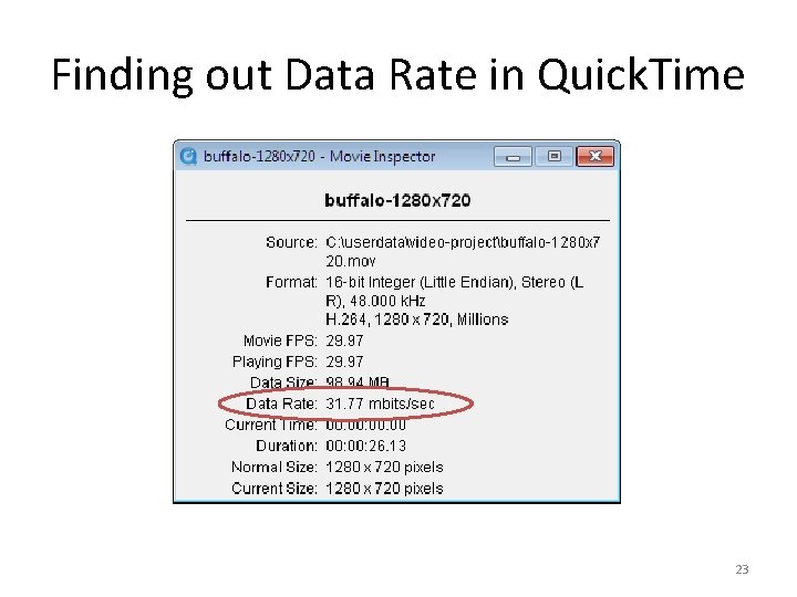 Finding out Data Rate in Quick. Time 23 