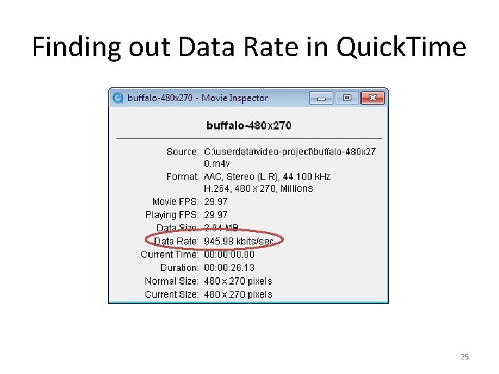 Finding out Data Rate in Quick. Time 25 