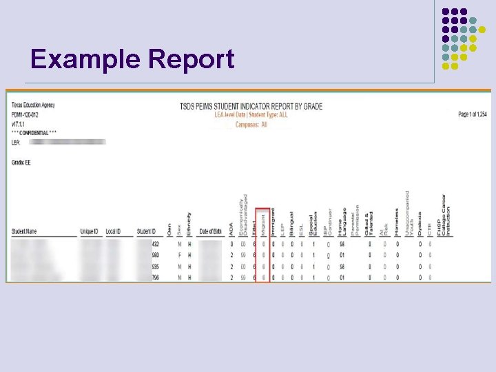 Example Report 