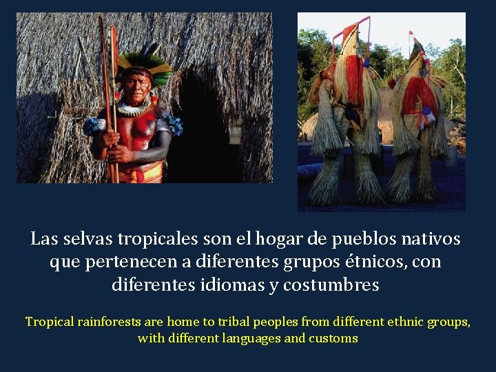 Las selvas tropicales son el hogar de pueblos nativos que pertenecen a diferentes grupos