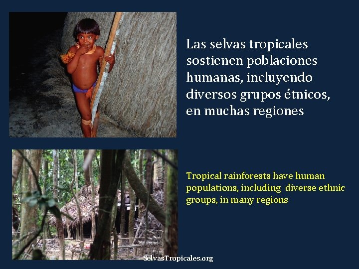 Las selvas tropicales sostienen poblaciones humanas, incluyendo diversos grupos étnicos, en muchas regiones Tropical