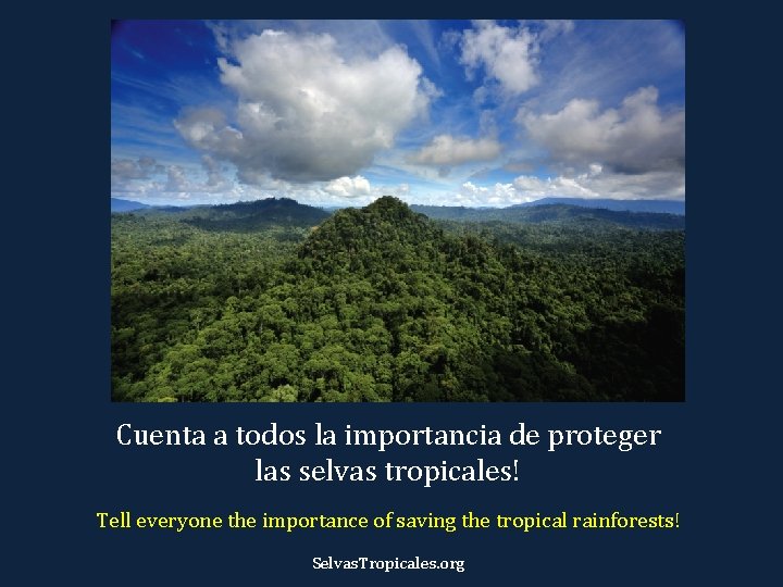 Cuenta a todos la importancia de proteger las selvas tropicales! Tell everyone the importance