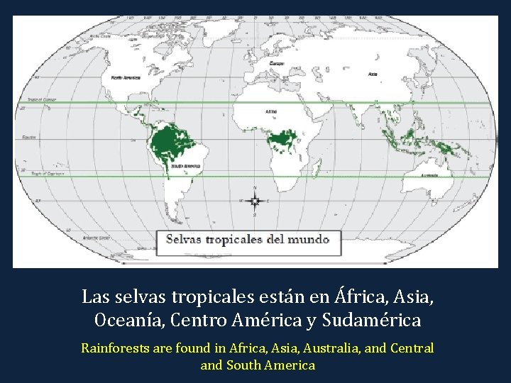 Las selvas tropicales están en África, Asia, Oceanía, Centro América y Sudamérica Rainforests are