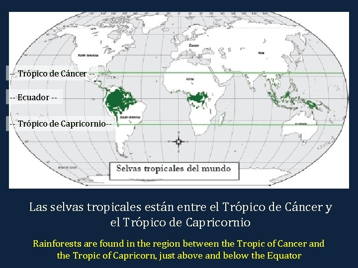 -- Trópico de Cáncer --- Ecuador --- Trópico de Capricornio-- Las selvas tropicales están