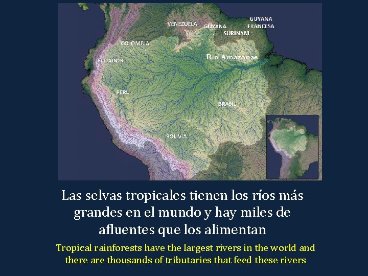 Las selvas tropicales tienen los ríos más grandes en el mundo y hay miles