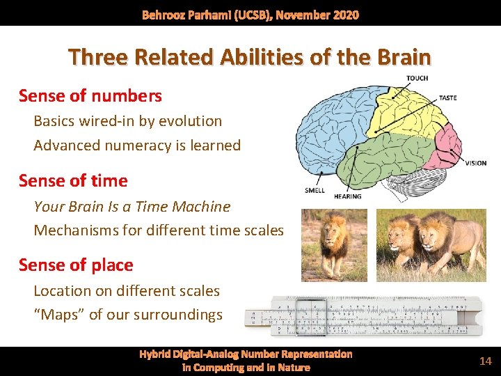 Behrooz Parhami (UCSB), November 2020 Three Related Abilities of the Brain Sense of numbers