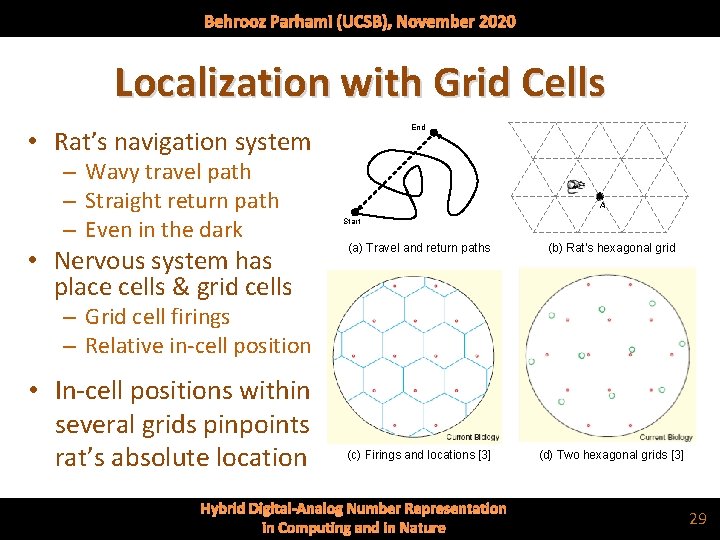 Behrooz Parhami (UCSB), November 2020 Localization with Grid Cells End • Rat’s navigation system