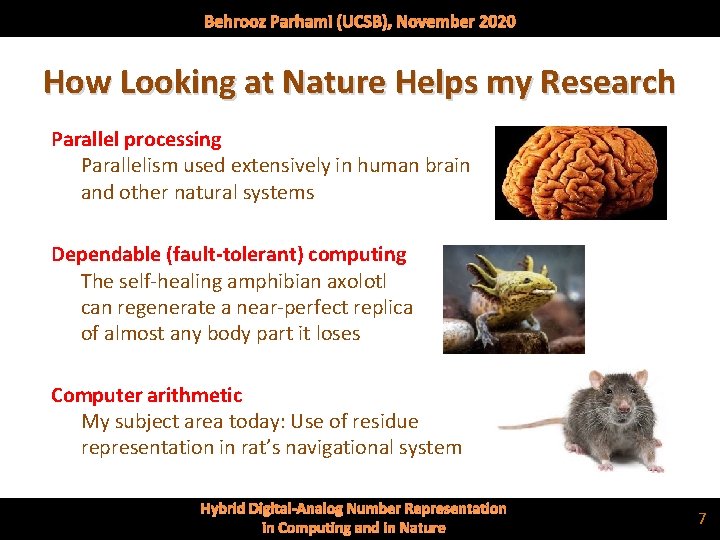 Behrooz Parhami (UCSB), November 2020 How Looking at Nature Helps my Research Parallel processing