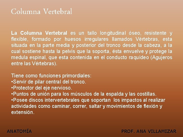 Columna Vertebral La Columna Vertebral es un tallo longitudinal óseo, resistente y flexible, formado
