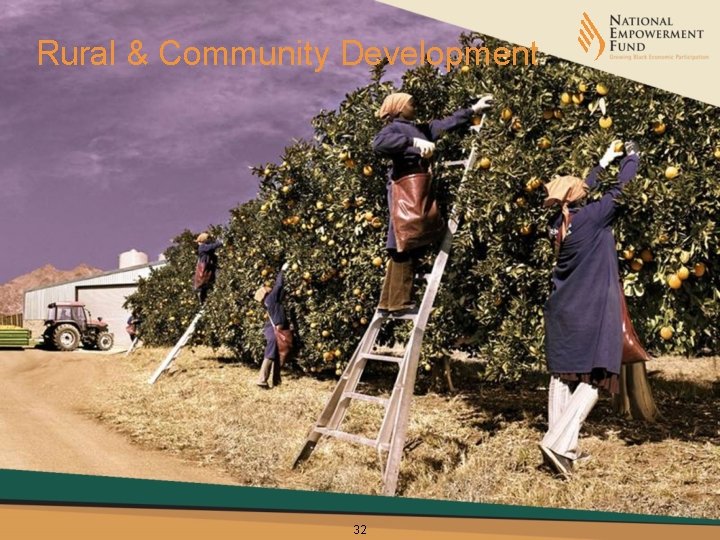 Rural & Community Development 32 
