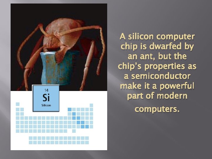 A silicon computer chip is dwarfed by an ant, but the chip’s properties as