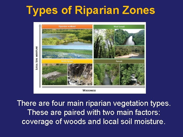 Types of Riparian Zones There are four main riparian vegetation types. These are paired