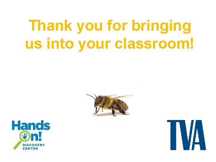 Thank you for bringing us into your classroom! “Bee” sure to check out the