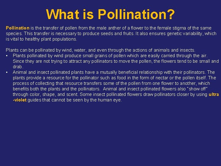 What is Pollination? Pollination is the transfer of pollen from the male anther of
