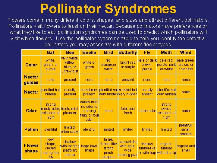 Pollinator Syndromes Flowers come in many different colors, shapes, and sizes and attract different