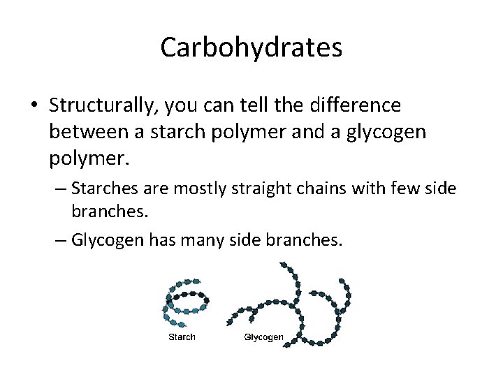 Carbohydrates • Structurally, you can tell the difference between a starch polymer and a
