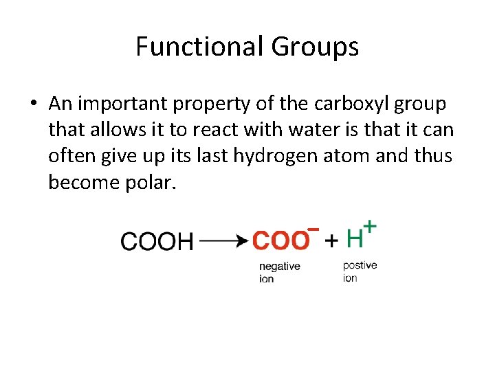 Functional Groups • An important property of the carboxyl group that allows it to