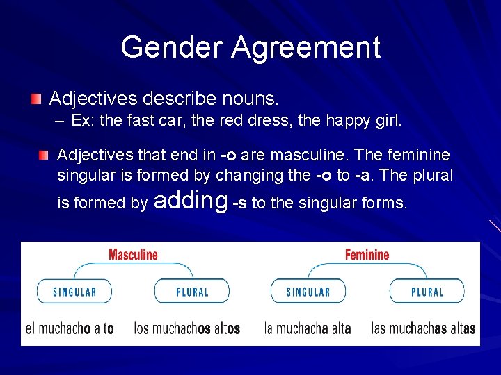 Gender Agreement Adjectives describe nouns. – Ex: the fast car, the red dress, the