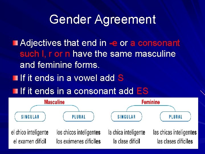 Gender Agreement Adjectives that end in -e or a consonant such l, r or