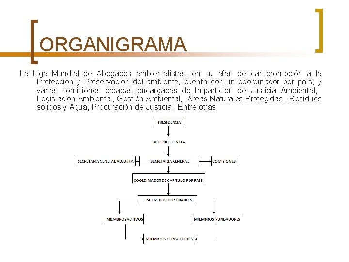 ORGANIGRAMA La Liga Mundial de Abogados ambientalistas, en su afán de dar promoción a