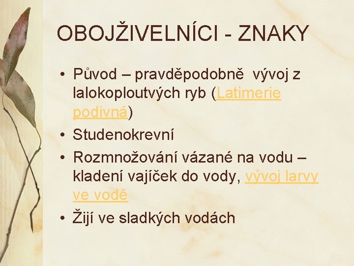 OBOJŽIVELNÍCI - ZNAKY • Původ – pravděpodobně vývoj z lalokoploutvých ryb (Latimerie podivná) •