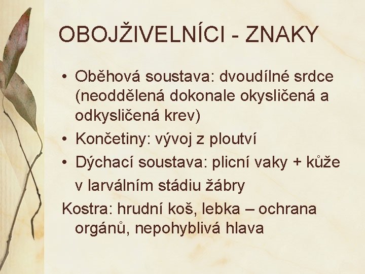 OBOJŽIVELNÍCI - ZNAKY • Oběhová soustava: dvoudílné srdce (neoddělená dokonale okysličená a odkysličená krev)