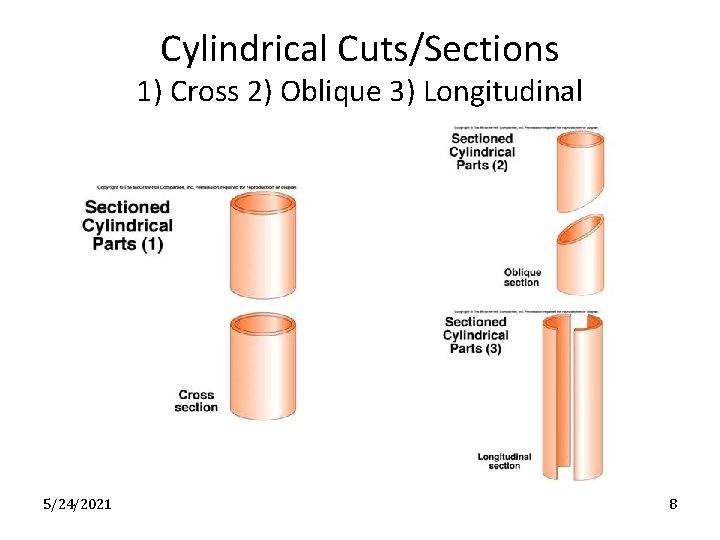 Cylindrical Cuts/Sections 1) Cross 2) Oblique 3) Longitudinal 5/24/2021 8 