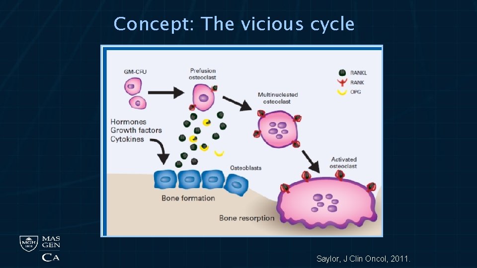 Concept: The vicious cycle Saylor, J Clin Oncol, 2011. 