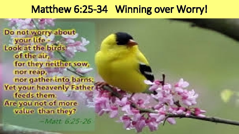 Matthew 6: 25 -34 Winning over Worry! 
