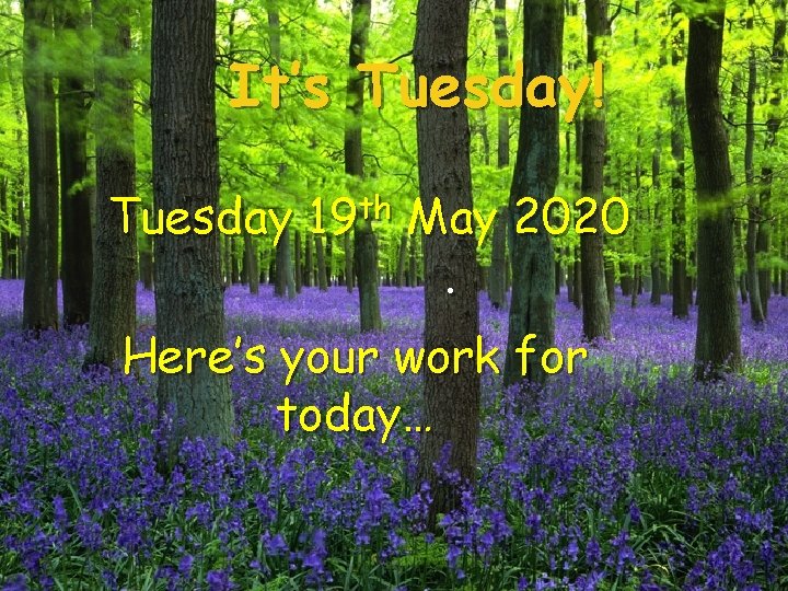 It’s Tuesday! Tuesday 19 th May 2020. Here’s your work for today… 