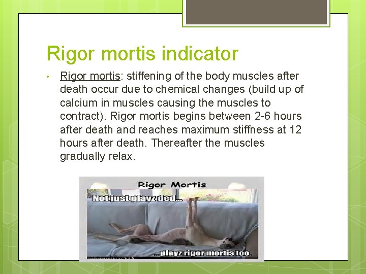 Rigor mortis indicator • Rigor mortis: stiffening of the body muscles after death occur
