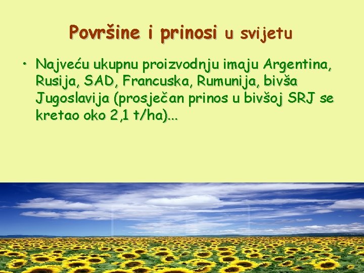 Površine i prinosi u svijetu • Najveću ukupnu proizvodnju imaju Argentina, Rusija, SAD, Francuska,