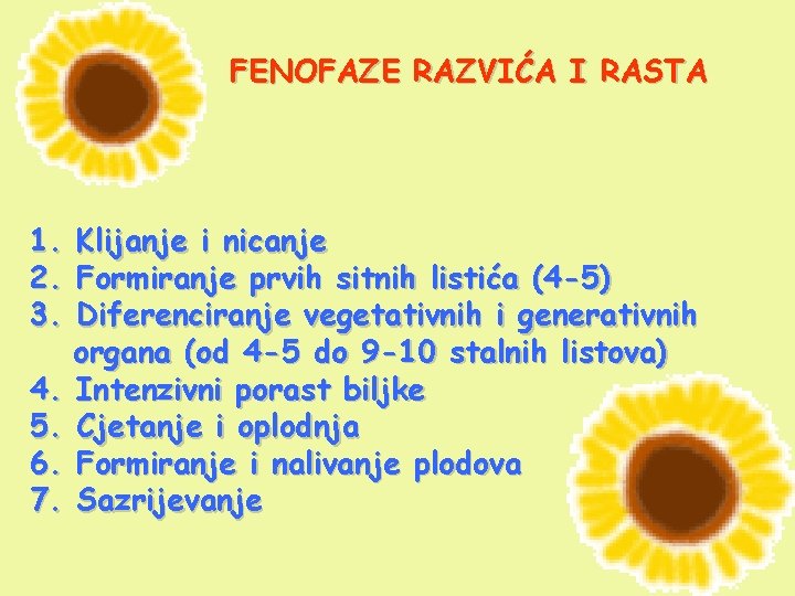 FENOFAZE RAZVIĆA I RASTA 1. 2. 3. Klijanje i nicanje Formiranje prvih sitnih listića