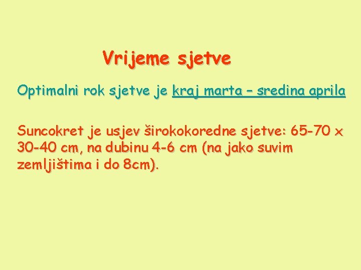 Vrijeme sjetve Optimalni rok sjetve je kraj marta – sredina aprila Suncokret je usjev