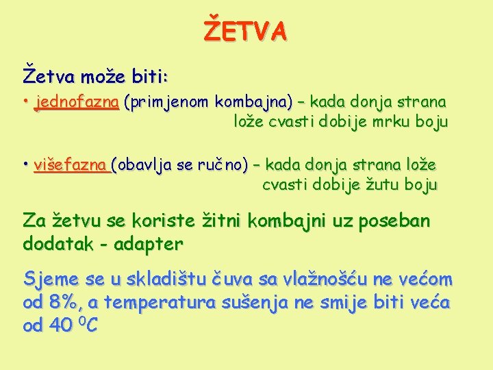 ŽETVA Žetva može biti: • jednofazna (primjenom kombajna) – kada donja strana lože cvasti