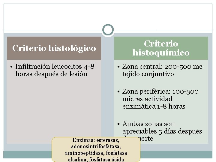 Criterio histológico Criterio histoquímico • Infiltración leucocitos 4 -8 horas después de lesión •