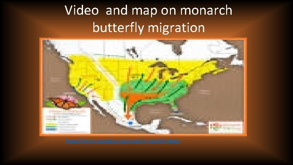 Video and map on monarch butterfly migration https: //www. youtube. com/watch? v=Law. HWs. Iqa