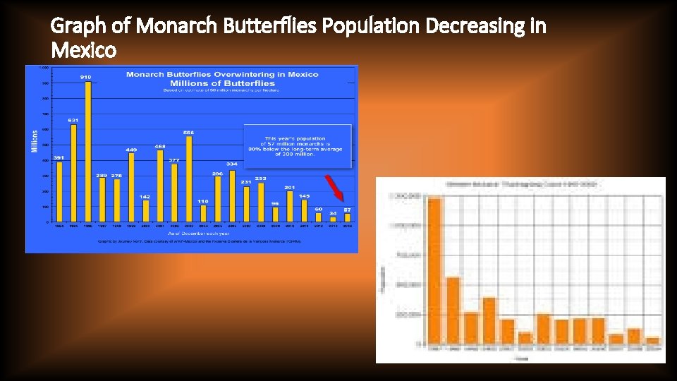 Graph of Monarch Butterflies Population Decreasing in Mexico 