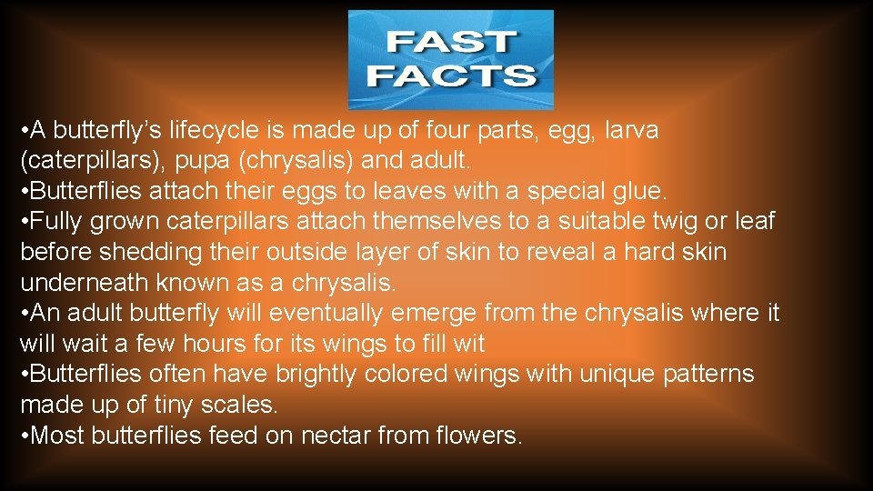  • A butterfly’s lifecycle is made up of four parts, egg, larva (caterpillars),
