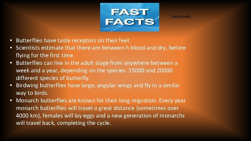 Continued… • Butterflies have taste receptors on their feet. • Scientists estimate that there