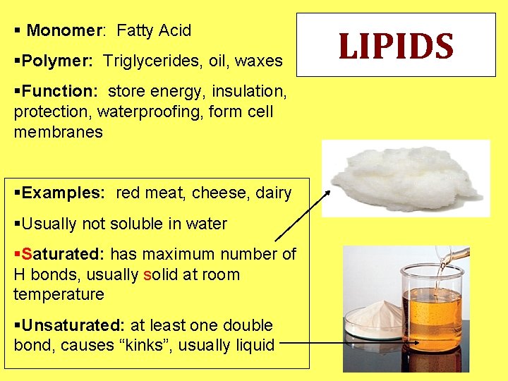 § Monomer: Fatty Acid §Polymer: Triglycerides, oil, waxes §Function: store energy, insulation, protection, waterproofing, § Monomer: Fatty Acid §Polymer: Triglycerides, oil, waxes §Function: store energy, insulation, protection, waterproofing,
